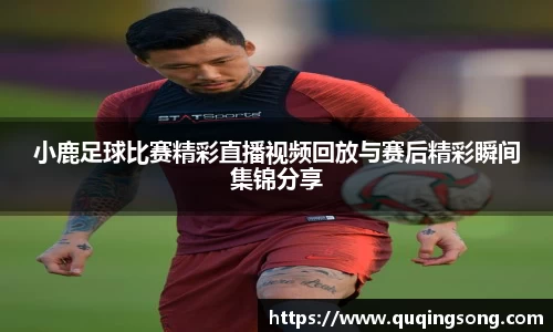 小鹿足球比赛精彩直播视频回放与赛后精彩瞬间集锦分享