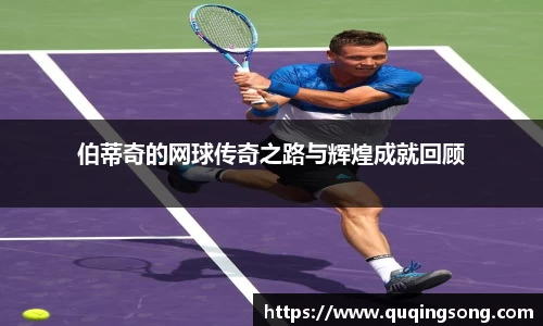 伯蒂奇的网球传奇之路与辉煌成就回顾