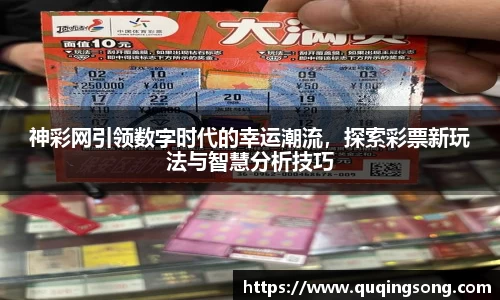 神彩网引领数字时代的幸运潮流，探索彩票新玩法与智慧分析技巧